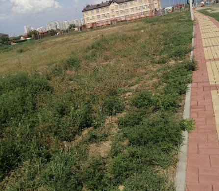Участок, 6.00 сот., ИЖС
