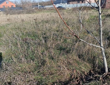 Участок фото 0