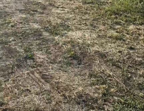 Участок фото 2